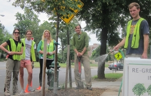 RMA Treekeepers August 2013