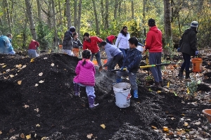 Big Pile of Mulch