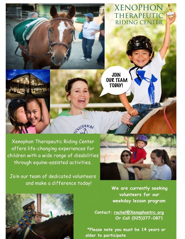 equine therapy near me volunteer