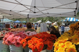 Flowers!