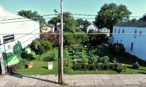 one of the community gardens