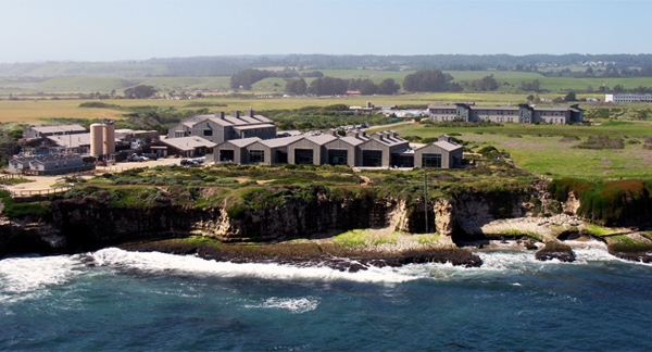 Become a Docent at the Seymour Center and help protect the oceans